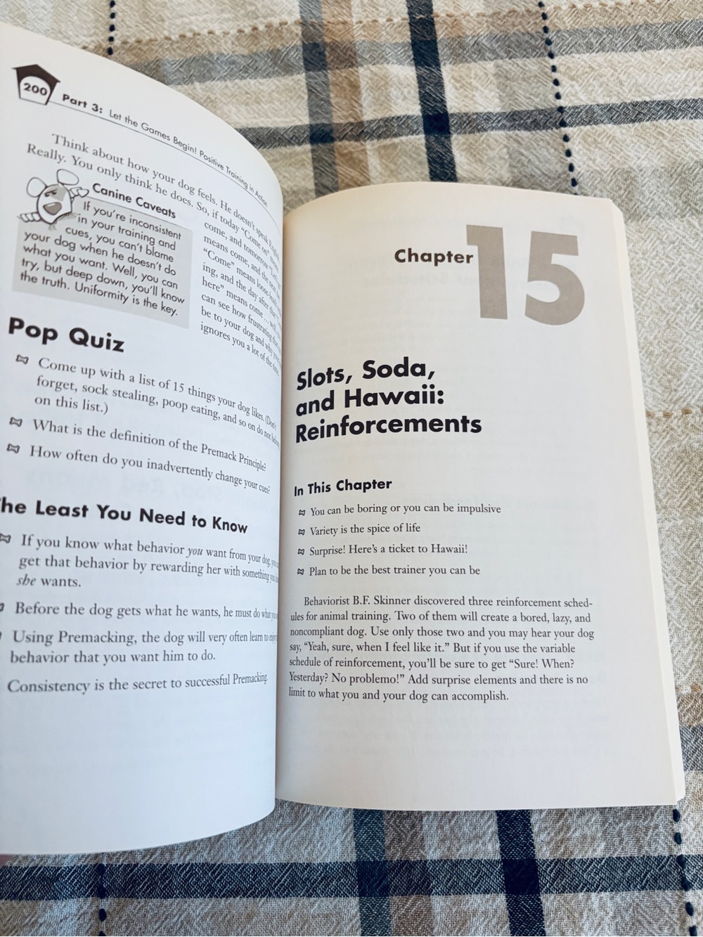 The Complete Idiots Guide to Positive Dog Training 2nd Edition 2005 Softcover - Picture 10 of 10